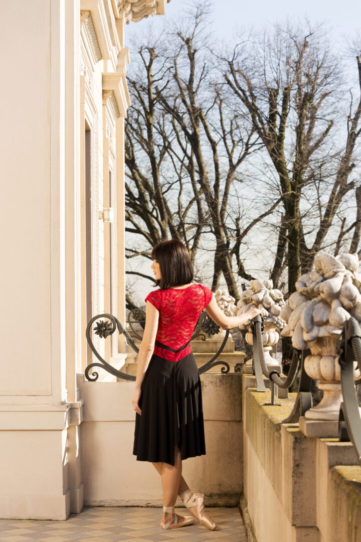 A red and black dress back view design